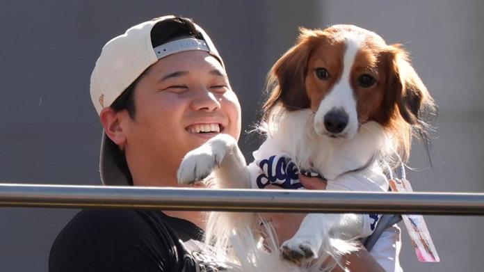 Decoy, el perro de Shohei Ohtani, conquista el desfile de campeones de los Dodgers