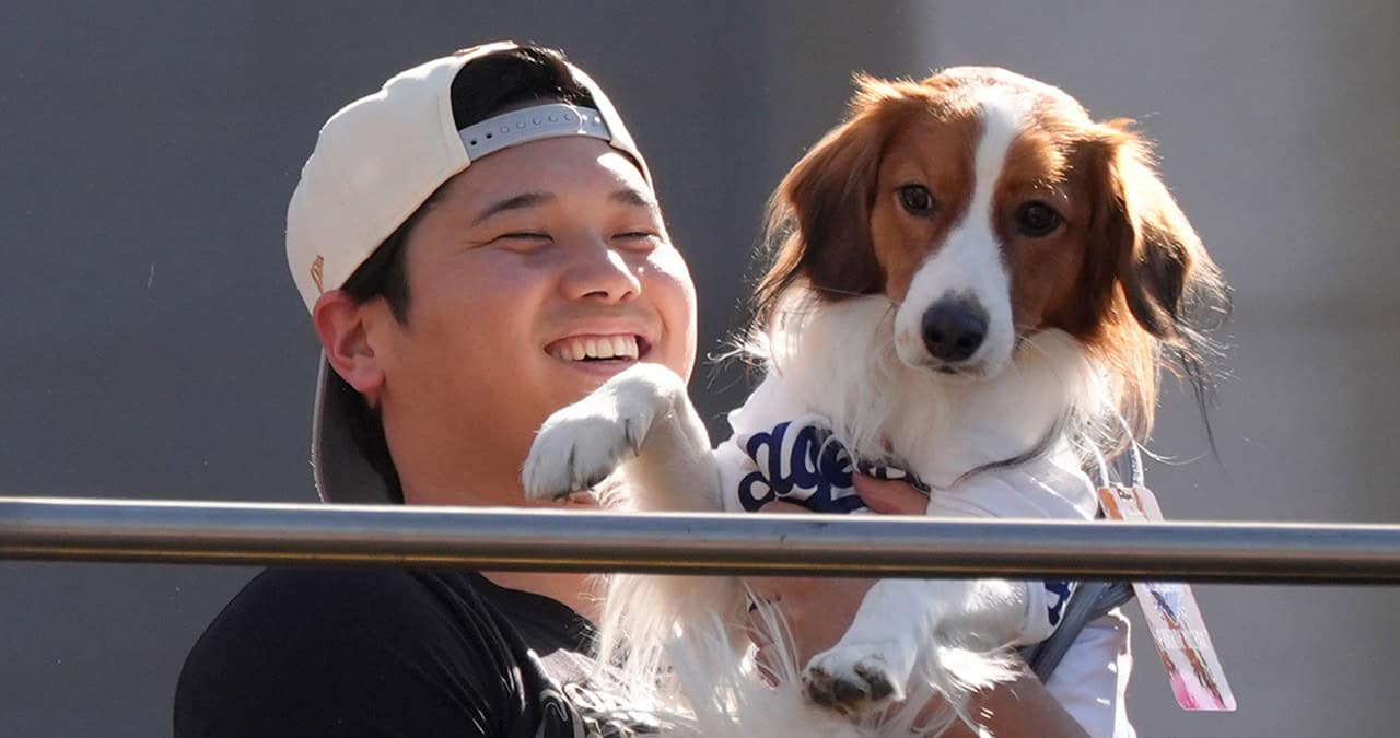 Decoy, el perro de Shohei Ohtani, conquista el desfile de campeones de los Dodgers