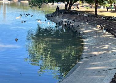 Laguna del Náinari en Ciudad Obregón luce casi vacía