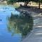 Laguna del Náinari en Ciudad Obregón luce casi vacía