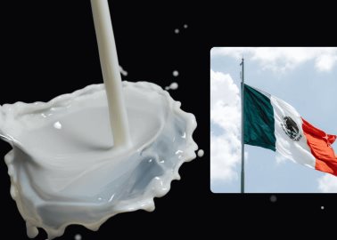 Estos son los 3 estados que lideran la producción de leche en México, ¿está Sonora?