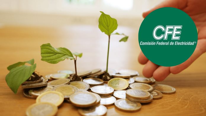 CFE: ¿Cuáles son los beneficios de ahorrar energía?