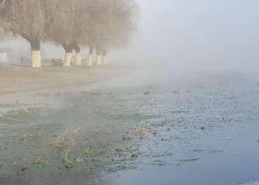 Clima en Sonora hoy 8 de noviembre: Habrá ambiente muy frío, con heladas en algunas regiones