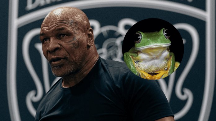 ¿De qué parte de Sonora es el sapo que Mike Tyson utilizó para un viaje? ¿De qué parte de Sonora es el sapo que Mike Tyson utilizó para un viaje?