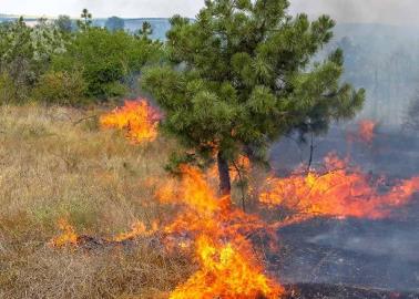 ¿Qué son los vientos de Santa Ana y cómo afectan a Sonora?