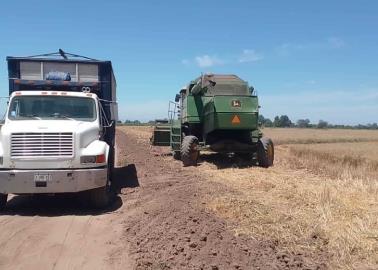 Pega crisis del campo a los transportistas