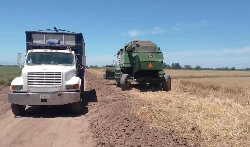 Pega crisis del campo a los transportistas