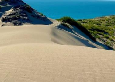¿Cómo llegar a las dunas de Puerto Peñasco desde Hermosillo y qué se puede hacer? | VIDEO