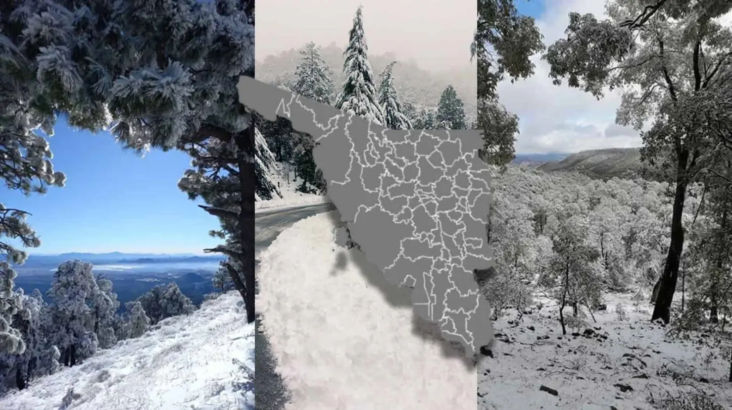 ¿Cuáles son las zonas más frías de Sonora y cómo se puede proteger la población?