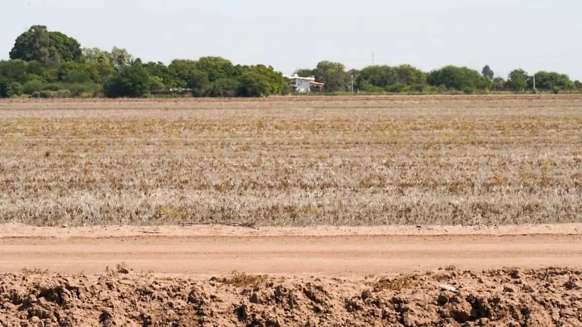 Paralizado, el campo