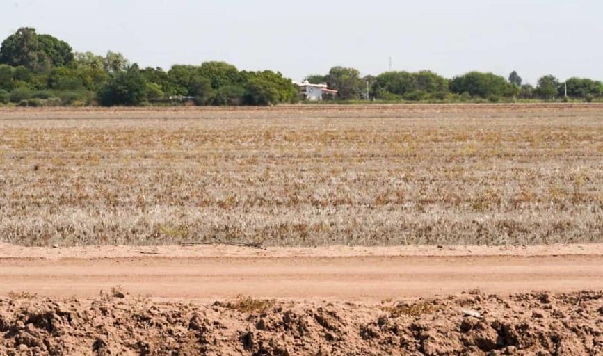 Paralizado, el campo