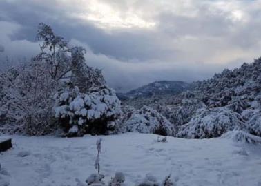 VIDEO | Así se ve Yécora, Sonora, nevado y puedes llegar desde Hermosillo en menos de 5 horas