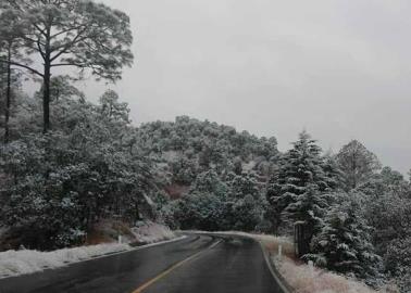 Clima en Sonora hoy 13 de noviembre: Se pronostican heladas con temperaturas de -5°C