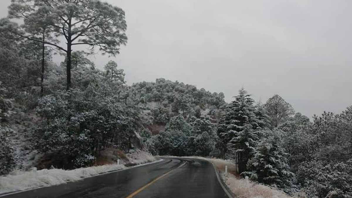 Clima en Sonora hoy 13 de noviembre: Se pronostican heladas con temperaturas de -5°C