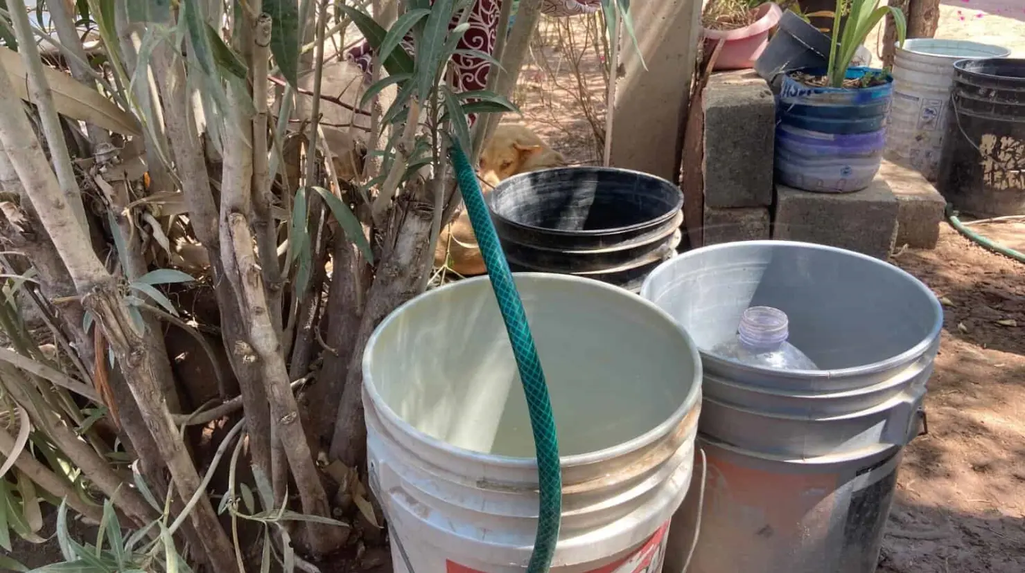 En Álamos usuarios regresan a tandeos para recibir suministro de agua