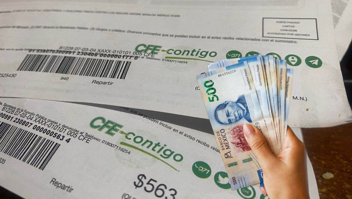 CFE informa qué personas no deberán pagar recibo de luz en noviembre