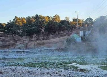 Clima en Sonora hoy 15 de noviembre: Frente frío 10 y primera tormenta invernal congelan al estado