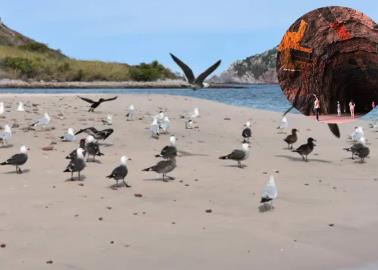 VIDEO| 5 joyas de la naturaleza ocultas en Sinaloa que deberías ver una vez en tu vida