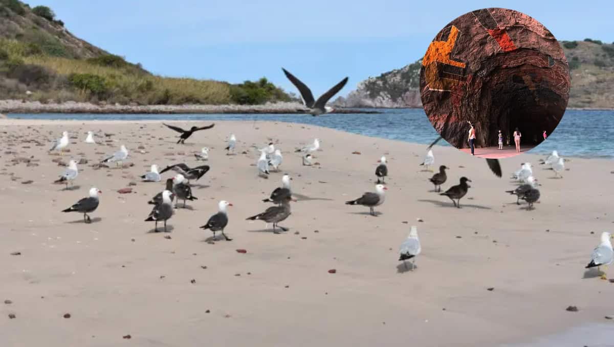 VIDEO| 5 joyas de la naturaleza ocultas en Sinaloa que deberías ver una vez en tu vida