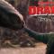 Cómo entrenar a tu dragón live action presenta su primer tráiler; esta es la reacción de la gente