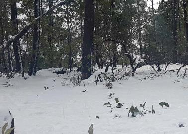 Clima en Sonora hoy 19 de noviembre: Otro frente frío amenaza al estado, con temperaturas congelantes