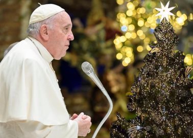 Juntan firmas para evitar tala de árbol que sería regalo para el Papa Francisco