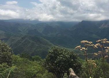 Pronostican heladas en zona serrana de Sonora