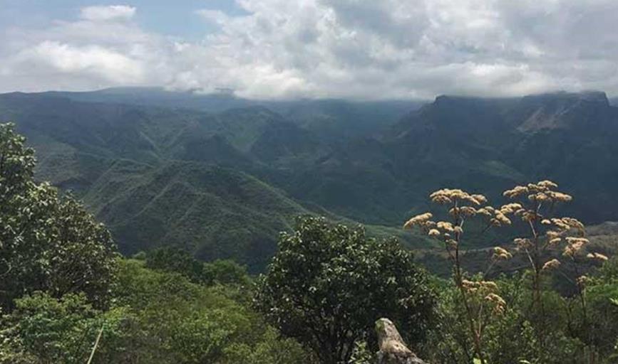 Pronostican heladas en zona serrana de Sonora