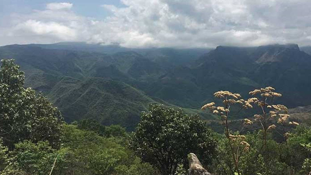 Pronostican heladas en zona serrana de Sonora