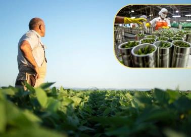 La crisis de la agroindustria golpea a Sonora y afectará la materia prima