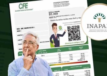 Inapam y CFE: ¿habrá descuentos en el recibo de luz para los adultos mayores?