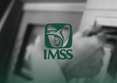 Aumento de la pensión IMSS 2025 con la ley 73