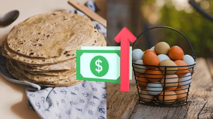 Así ha subido el precio del huevo y la tortilla desde el año 2000 ¿Cuánto cuesta en 2024? Así ha subido el precio del huevo y la tortilla desde el año 2000 ¿Cuánto cuesta en 2024?