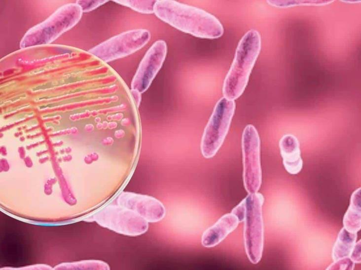 Diario del Yaqui - Bacteria Klebsiella Oxytoca: Riesgo de infección en México