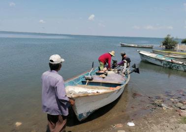 Piden freno a altos costos de permisos de pesca