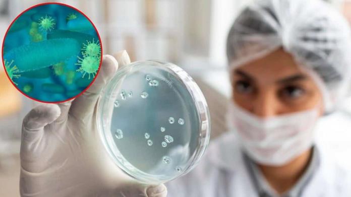 Una nueva bacteria surge en la sangre causando el terror en México Una nueva bacteria surge en la sangre causando el terror en México