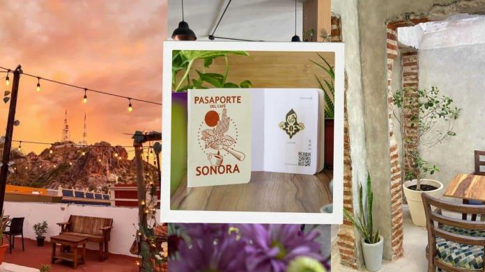 Pasaporte del Café en Hermosillo ¿qué es y de qué se trata? Pasaporte del Café en Hermosillo ¿qué es y de qué se trata?