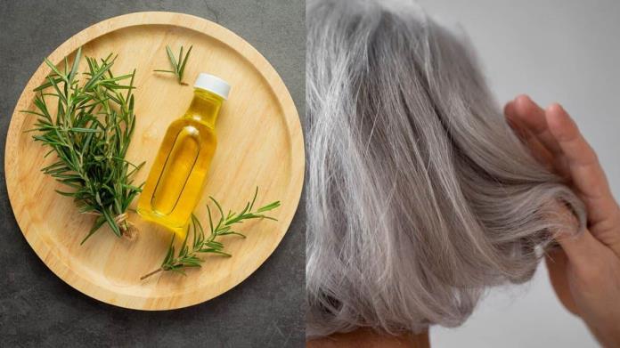 ¿Romero para cubrir las canas?; así puedes preparar un tónico casero