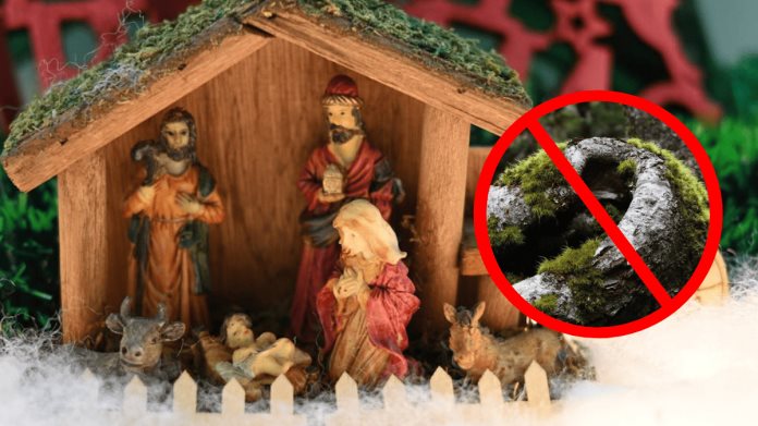 Por esto no debes comprar musgo para el nacimiento navideño | Conanp Por esto no debes comprar musgo para el nacimiento navideño | Conanp