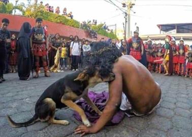 Perrito cautiva a todos en Viacrucis para consolar a Jesús