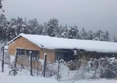 ¿Cómo se preparan los habitantes del pueblo conocido como "El Congelador de México" para el invierno?