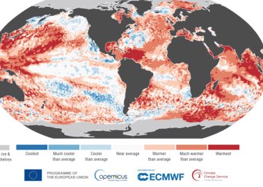 2024: El año más caluroso en la historia