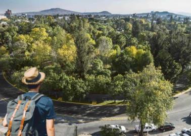 Esta es la zona más bonita de todo Guadalajara, según la IA