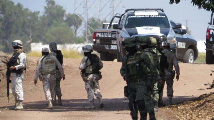 Dan golpe a la delincuencia al norte de Sonora Dan golpe a la delincuencia al norte de Sonora
