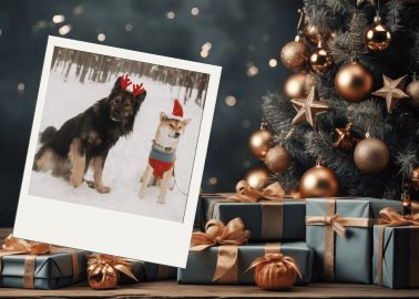 VIDEOS | 5 ideas de ugly sweaters para combinar con tu perrito y ser el alma de la Navidad