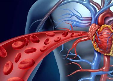 Ocho frutas que benefician tu salud cardiovascular. ¡Están al alcance de todos!