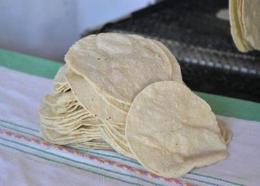 Temen ser "golpeados" por posible baja del 10% en el precio de la tortilla 