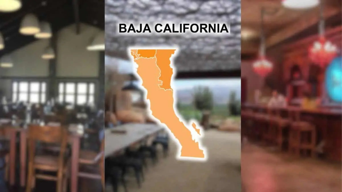 Los 5 mejores restaurantes de baja California Fuentes: Original