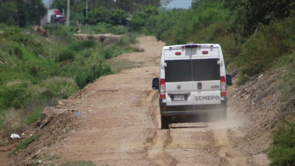 Diario Del Yaqui Flota Cad Ver En Canal Cercano A San Ignacio R O Muerto