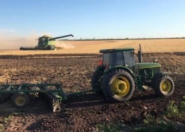 Aplicarán rastreos fitosanitarios en 70 mil hectareas del Valle del Mayo